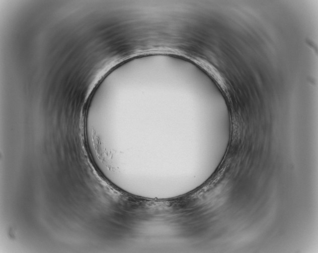 X0000096141006200802081344