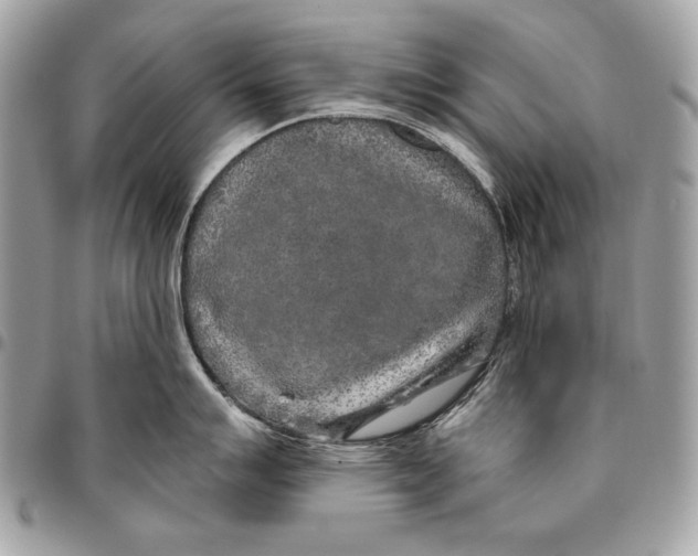 X0000096141007200802081344