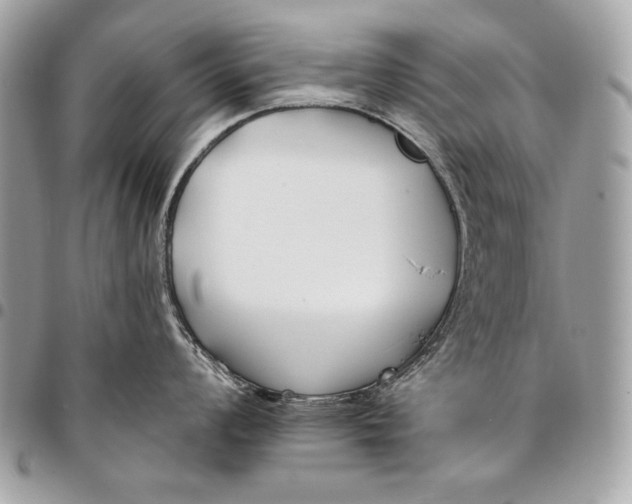 X0000096141008200802081344