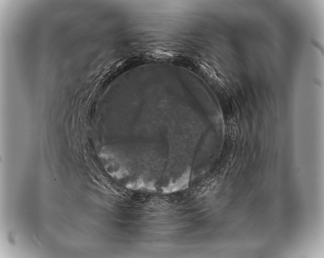 X0000096141009200802081343