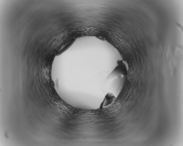 X0000096141010200802081343