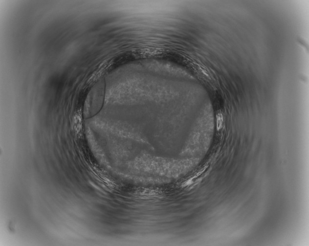 X0000096141011200802081343