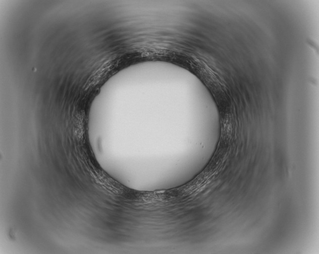 X0000096141012200802081343