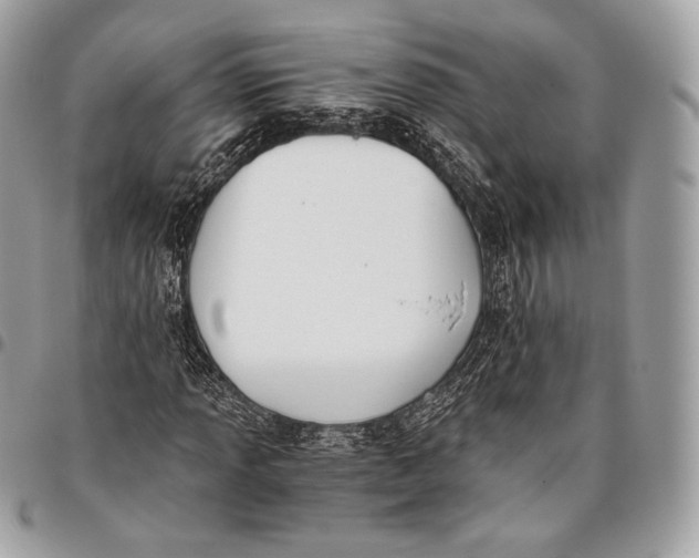 X0000096141013200802081343