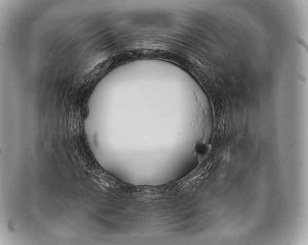 X0000096141014200802081343