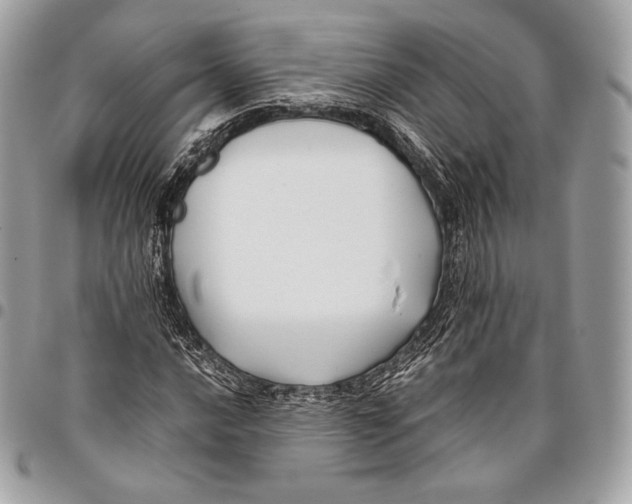 X0000096141016200802081343