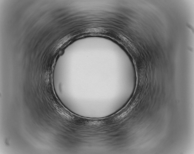 X0000096141017200802081343