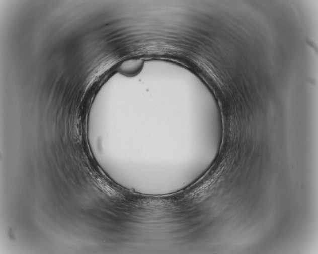 X0000096141018200802081343