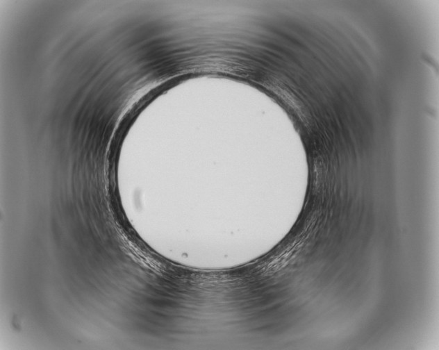 X0000096141020200802081343