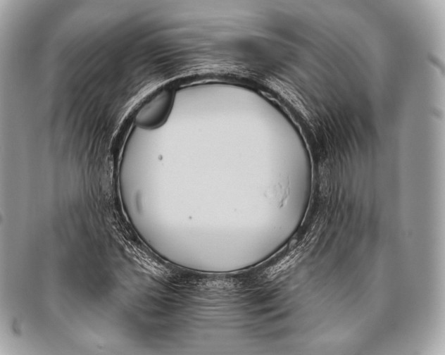 X0000096141021200802081343