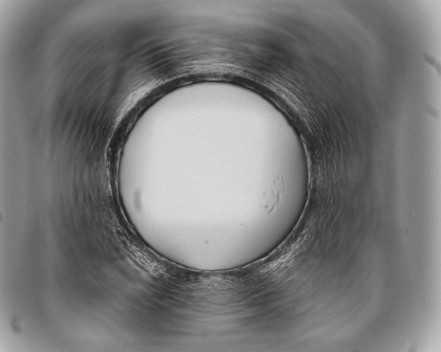 X0000096141022200802081343