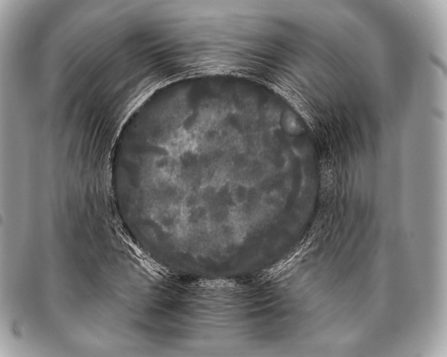 X0000096141023200802081343