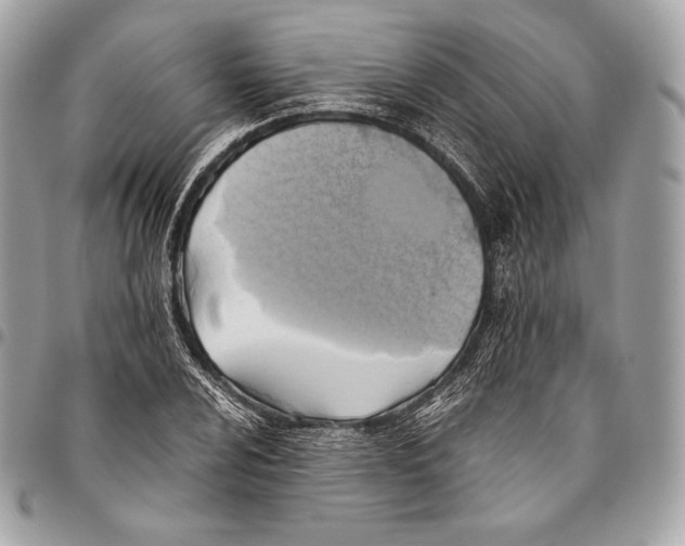 X0000096141024200802081343