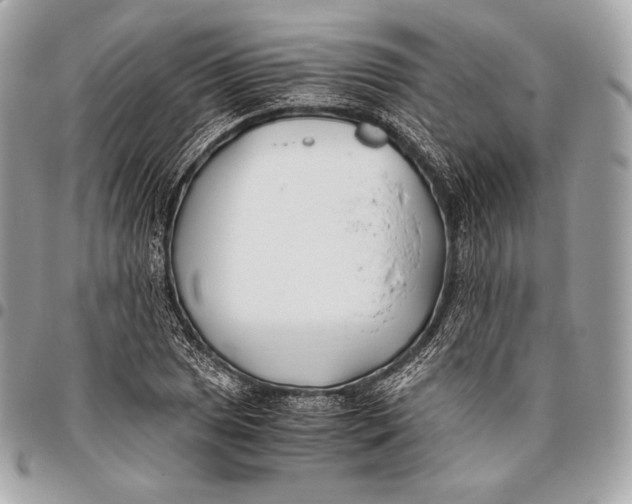 X0000096141025200802081343