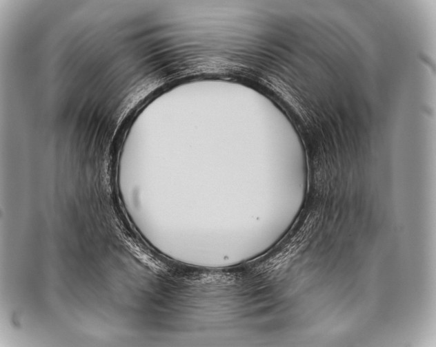 X0000096141026200802081343