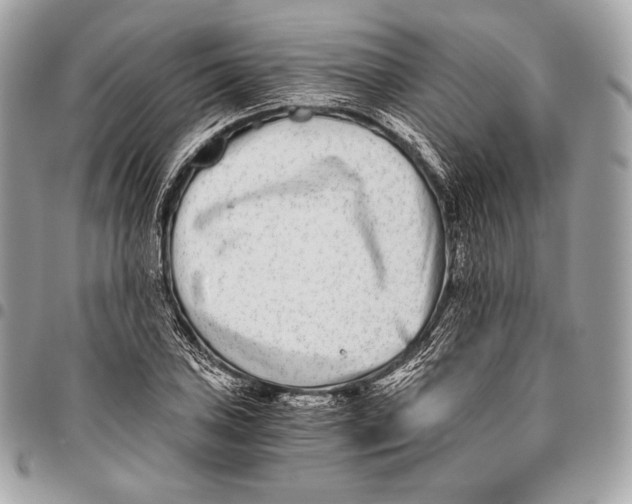 X0000096141027200802081343