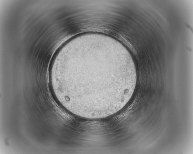 X0000096141028200802081343