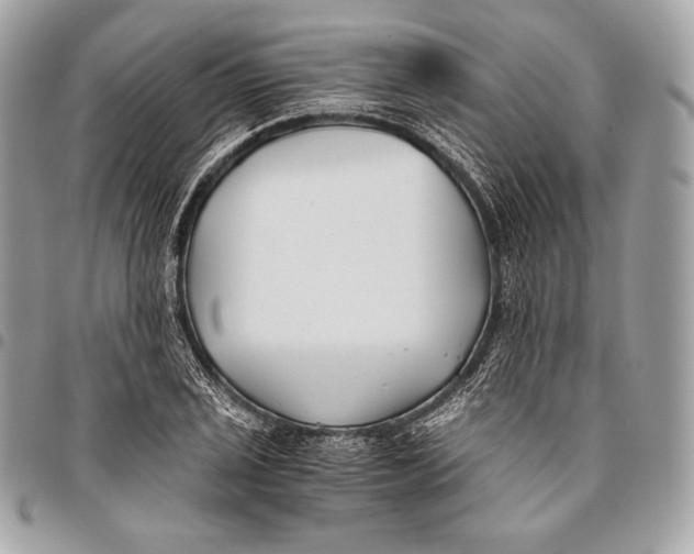 X0000096141029200802081343