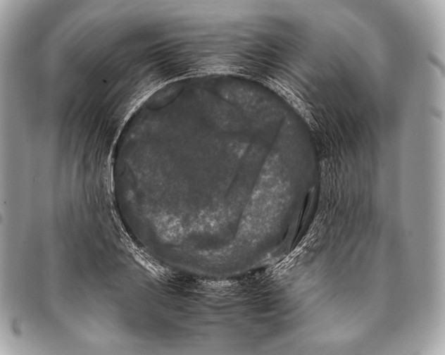 X0000096141031200802081343
