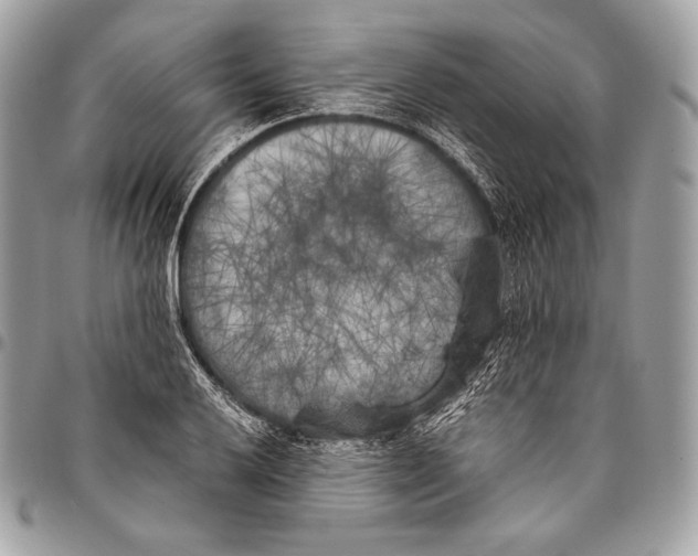 X0000096141032200802081343