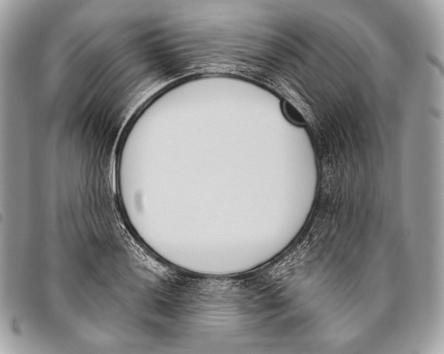 X0000096141036200802081343