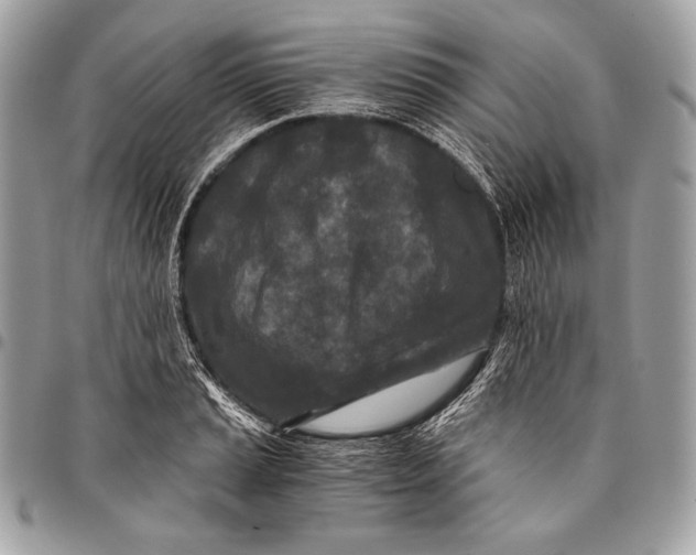 X0000096141037200802081343