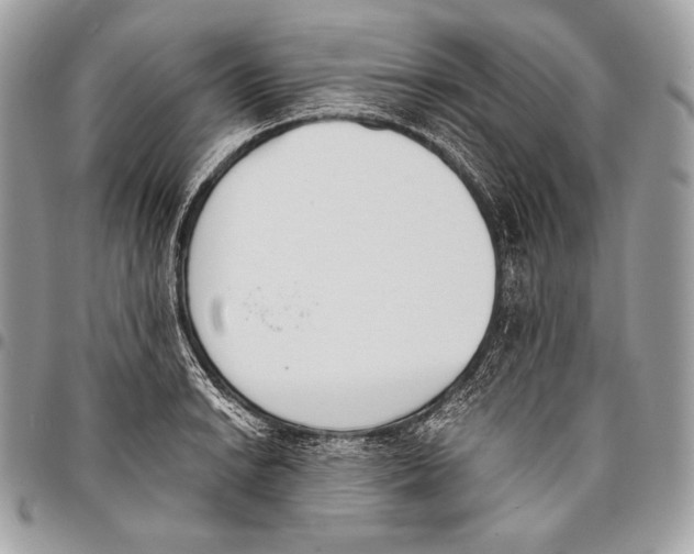 X0000096141038200802081343