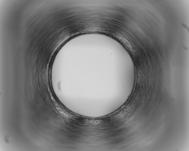 X0000096141039200802081344