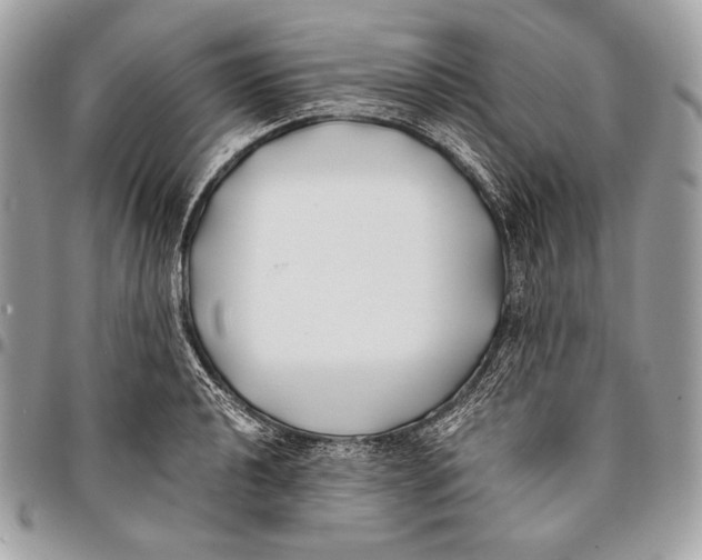 X0000096141040200802081344