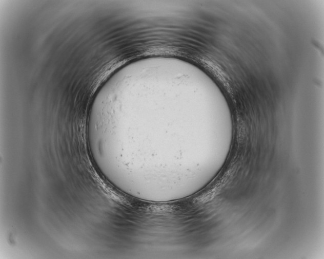 X0000096141041200802081344