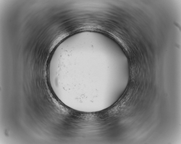 X0000096141042200802081344