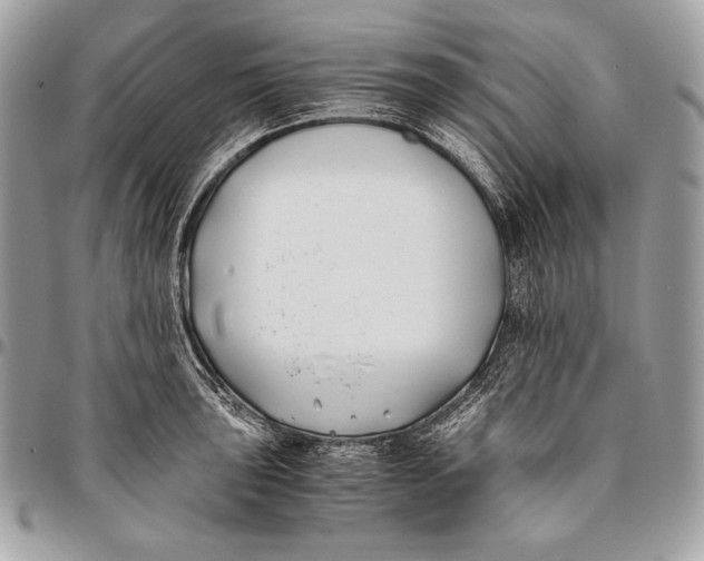 X0000096141043200802081344