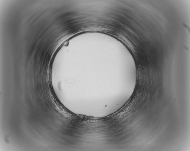 X0000096141044200802081344