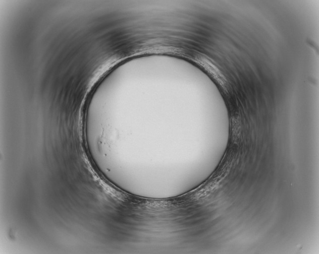 X0000096141046200802081344