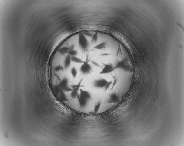 X0000096141048200802081344
