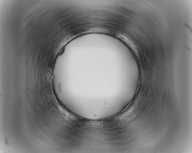 X0000096141049200802081344