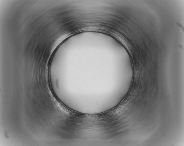 X0000096141050200802081344