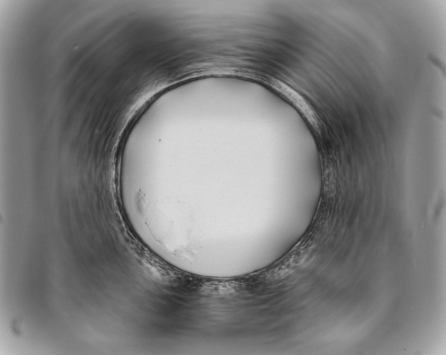 X0000096141051200802081344