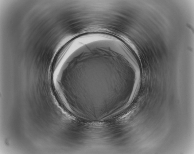 X0000096141053200802081344