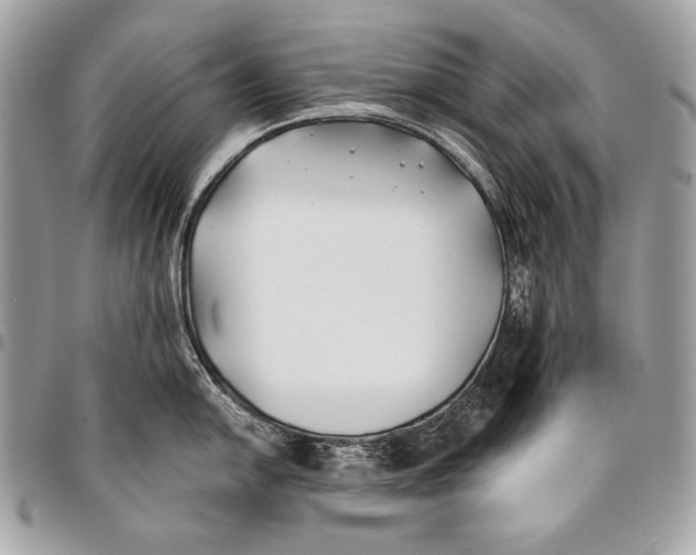 X0000096141054200802081344