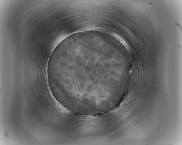 X0000096141055200802081344
