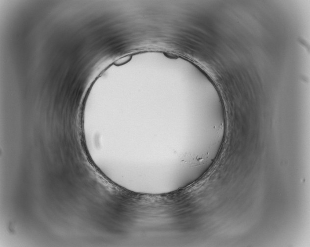 X0000096141056200802081344