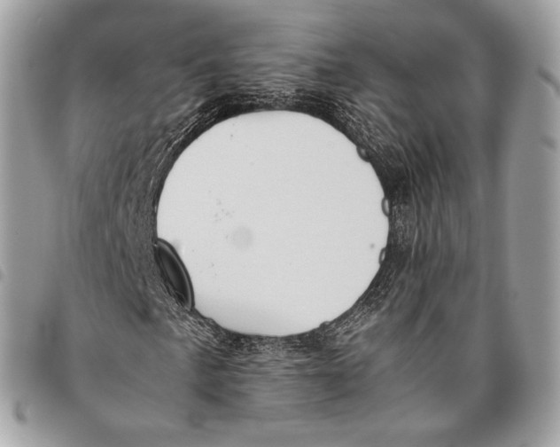 X0000096141057200802081343