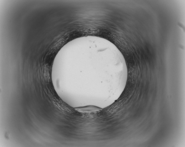 X0000096141058200802081343