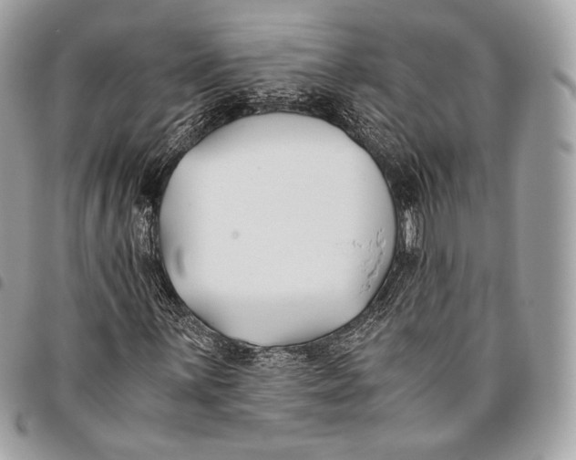 X0000096141059200802081343