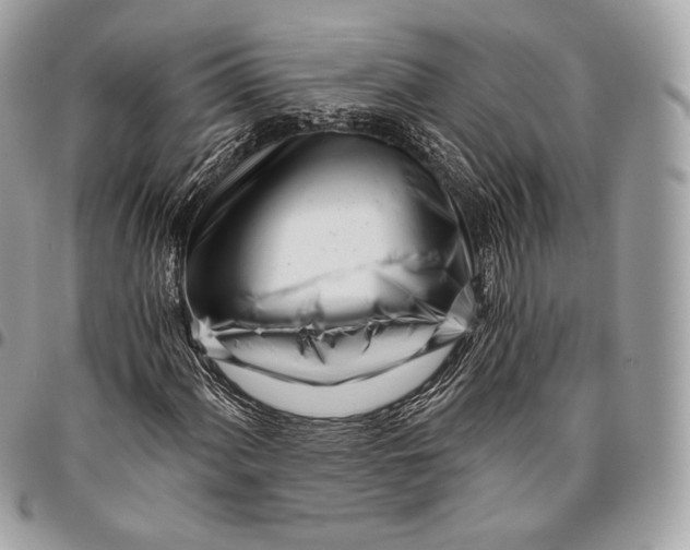 X0000096141060200802081343