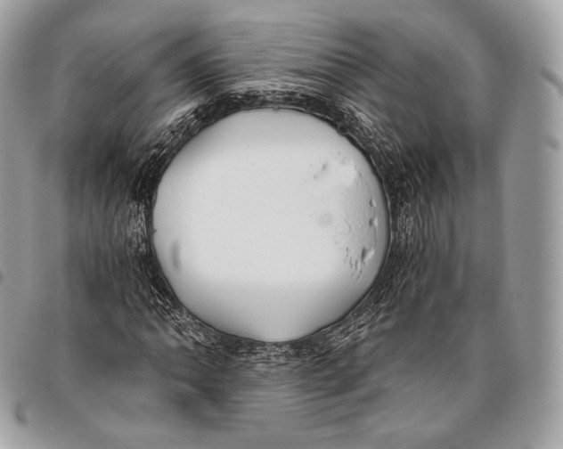 X0000096141062200802081343