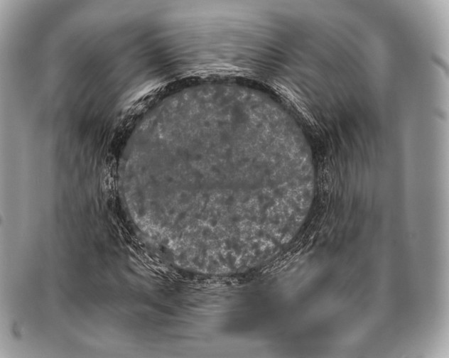 X0000096141063200802081343