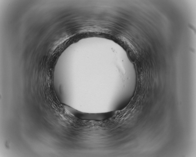 X0000096141064200802081343