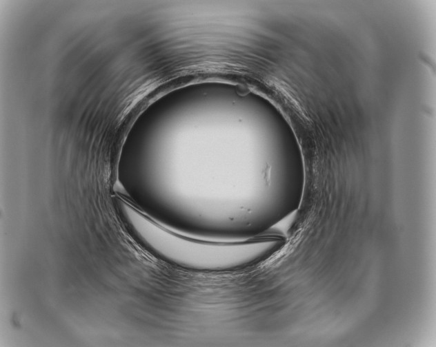 X0000096141065200802081343